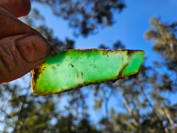 Polished  Chrysoprase slab CH491