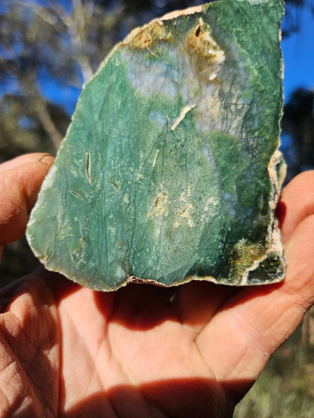 Polished Chrome Chalcedony  CC165