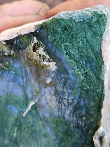 Polished Chrome Chalcedony  CC165