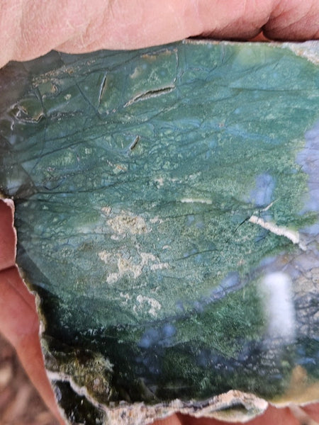 Polished Chrome Chalcedony  CC165