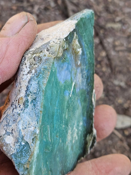 Polished Chrome Chalcedony  CC165