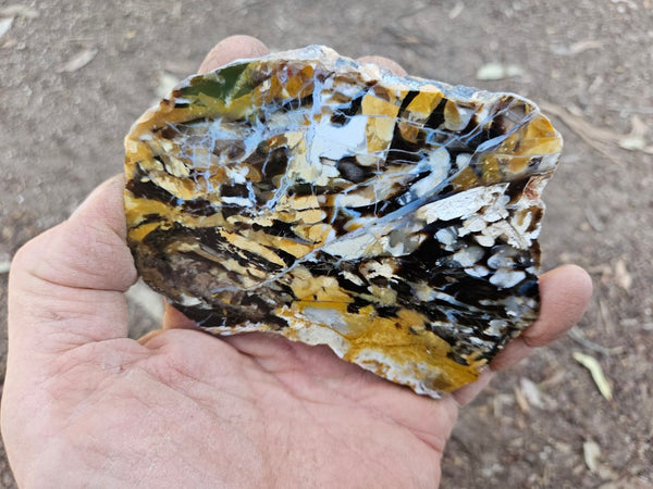 Polished Peanut Wood slab PW355