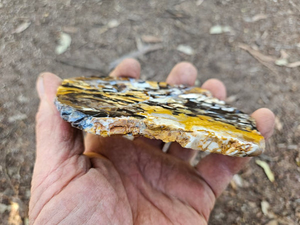Polished Peanut Wood slab PW355