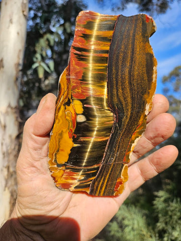 Polished Tiger Eye slab TE486