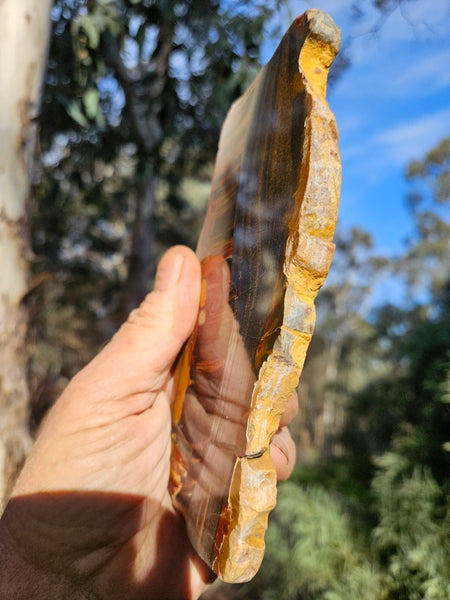 Polished Tiger Eye slab TE486