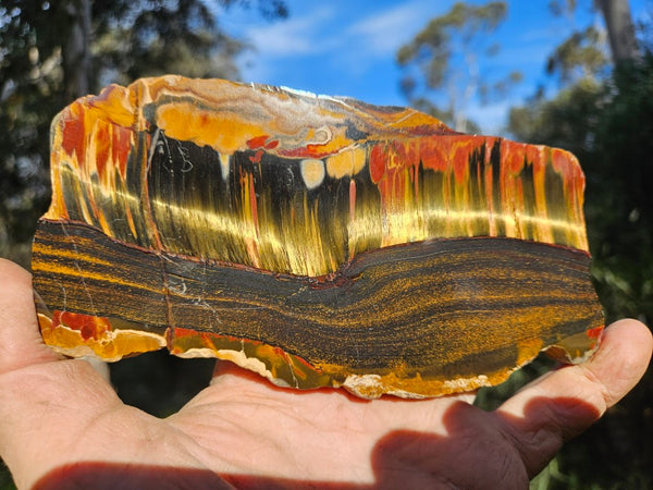 Polished Tiger Eye slab TE486