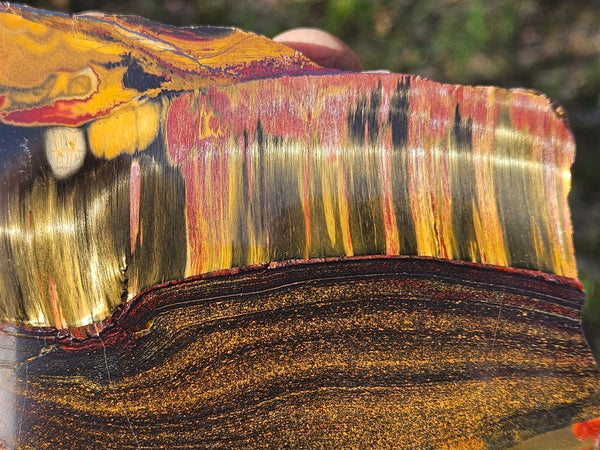 Polished Tiger Eye slab TE486