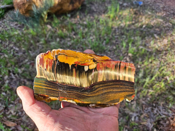 Polished Tiger Eye slab TE486