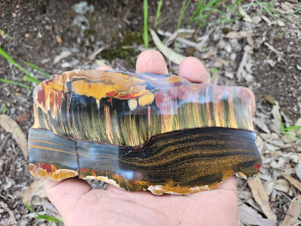 Polished Tiger Eye slab TE486