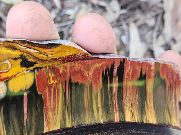 Polished Tiger Eye slab TE486