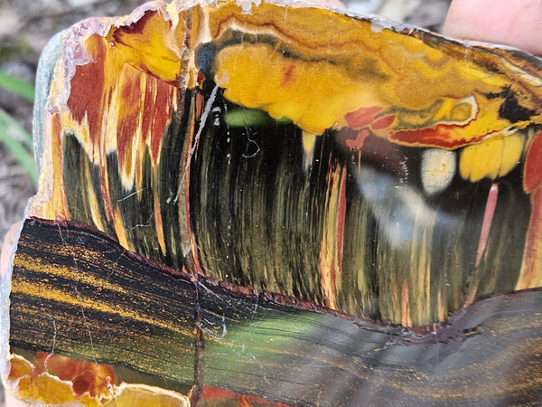 Polished Tiger Eye slab TE486
