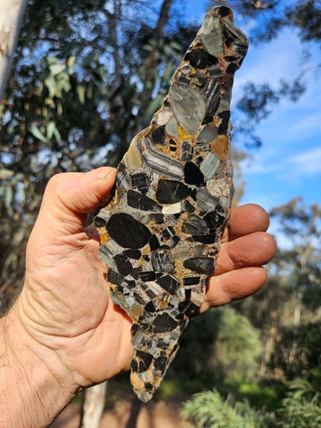 Black Jasper Conglomerate B234