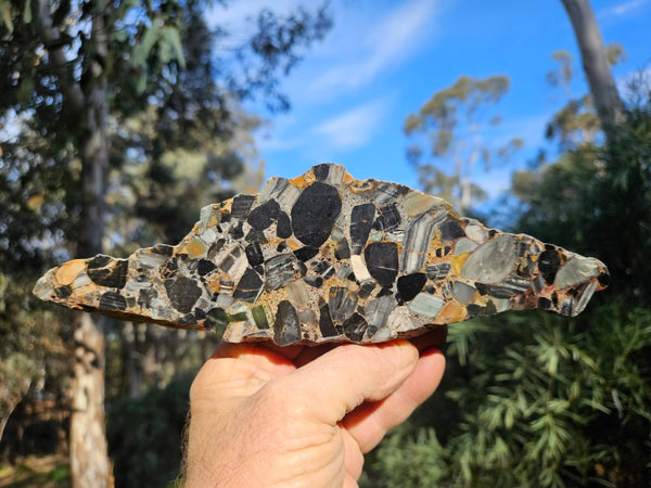 Black Jasper Conglomerate B234