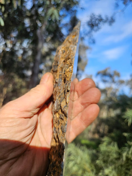 Black Jasper Conglomerate B234