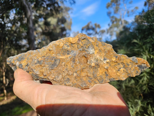 Black Jasper Conglomerate B234