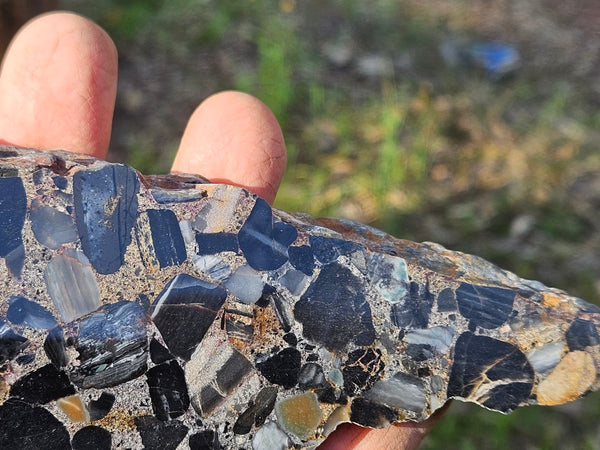 Black Jasper Conglomerate B234