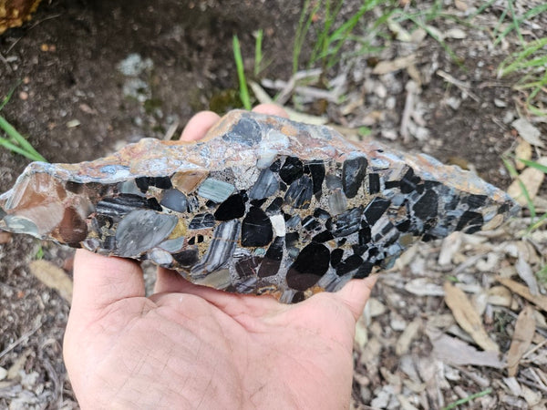 Black Jasper Conglomerate B234