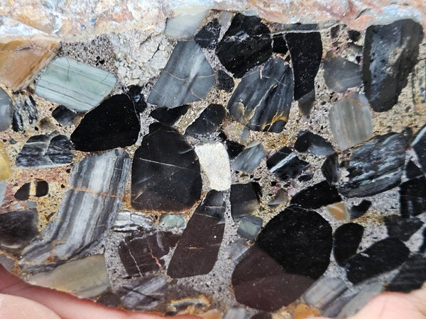 Black Jasper Conglomerate B234