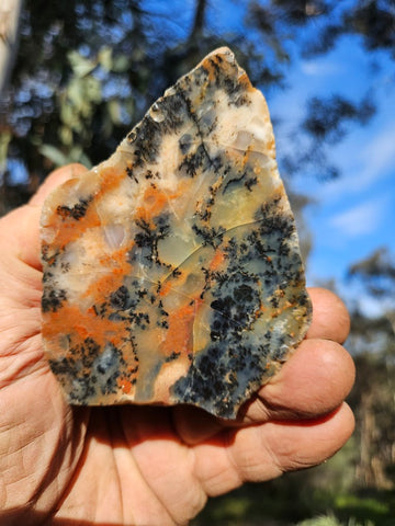 Polished Dendritic Opal  DO231