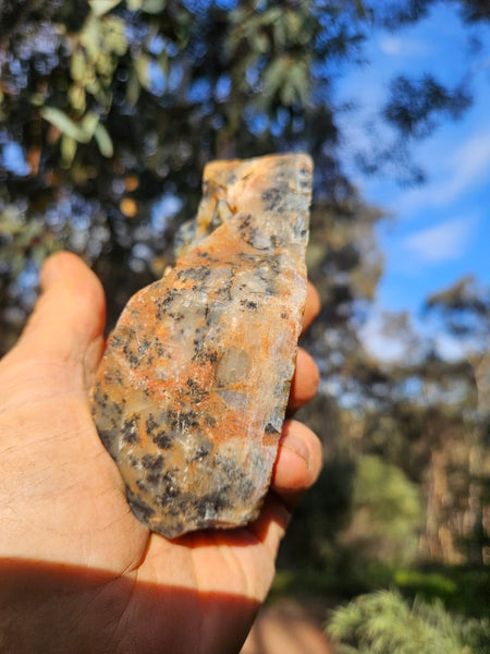 Polished Dendritic Opal  DO231