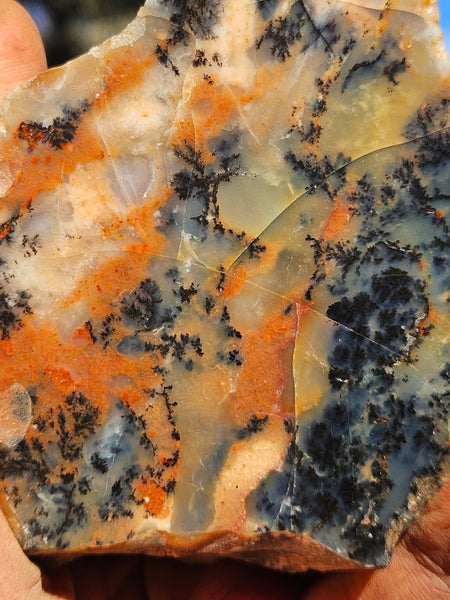 Polished Dendritic Opal  DO231