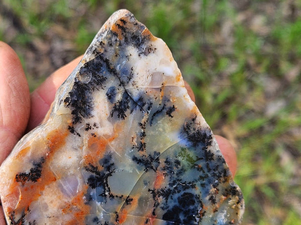 Polished Dendritic Opal  DO231