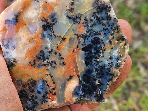 Polished Dendritic Opal  DO231