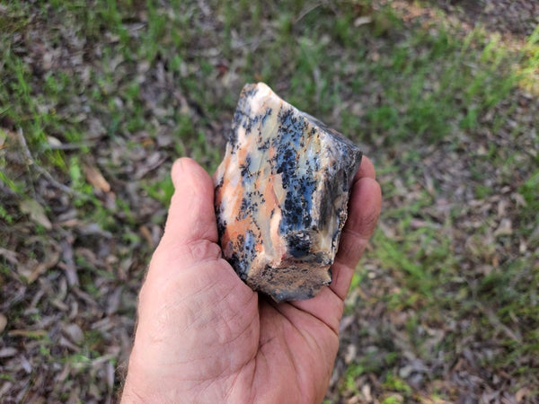 Polished Dendritic Opal  DO231