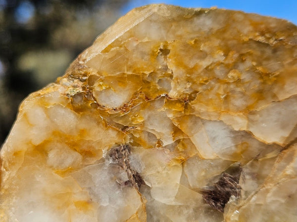 Epidote, Quartz & Axinite EPI90