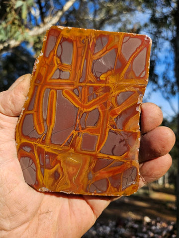 Polished Noreena Jasper slab. NJ488