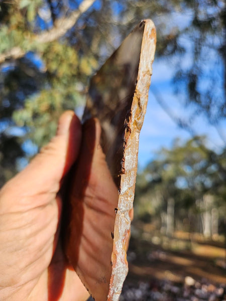 Polished Noreena Jasper slab. NJ488