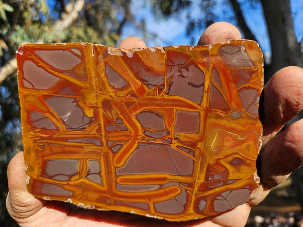 Polished Noreena Jasper slab. NJ488