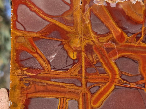 Polished Noreena Jasper slab. NJ488
