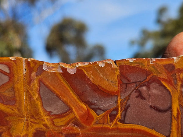 Polished Noreena Jasper slab. NJ488