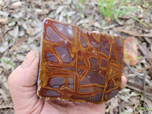 Polished Noreena Jasper slab. NJ488