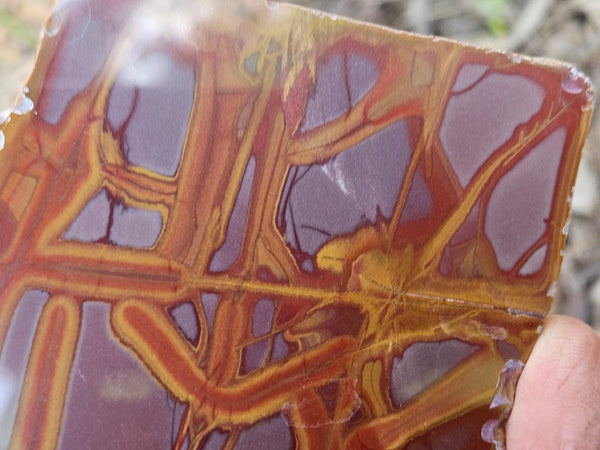 Polished Noreena Jasper slab. NJ488