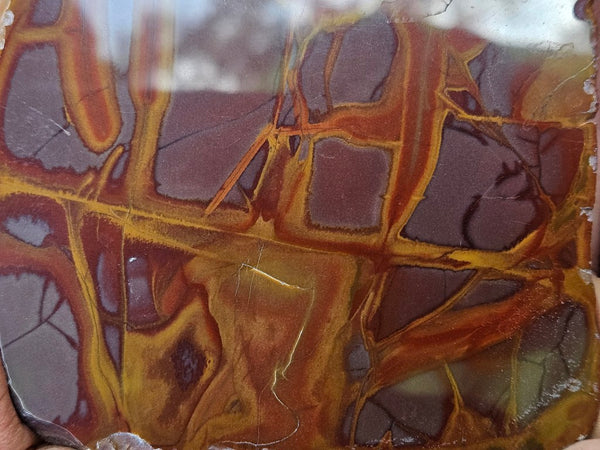 Polished Noreena Jasper slab. NJ488