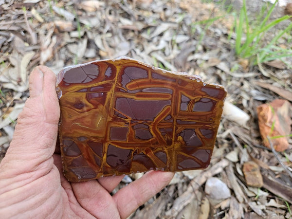 Polished Noreena Jasper slab. NJ488