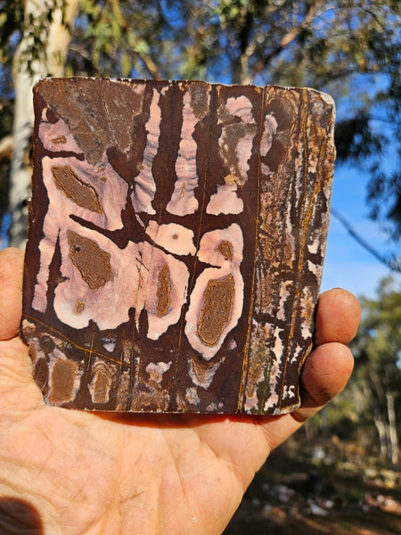 Polished Outback Jasper slab OJ202