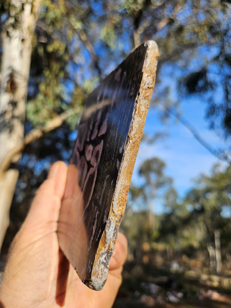 Polished Outback Jasper slab OJ202