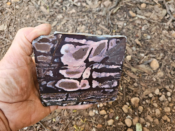 Polished Outback Jasper slab OJ202