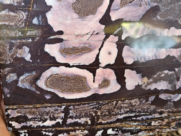 Polished Outback Jasper slab OJ202