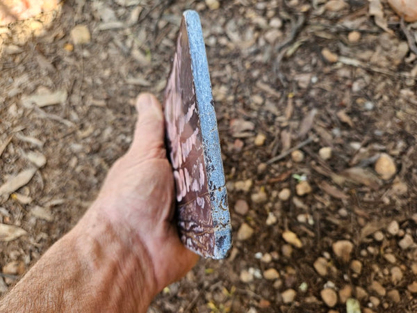 Polished Outback Jasper slab OJ202