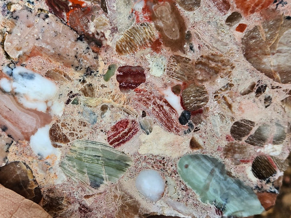 Polished Marillana Conglomerate  MC117