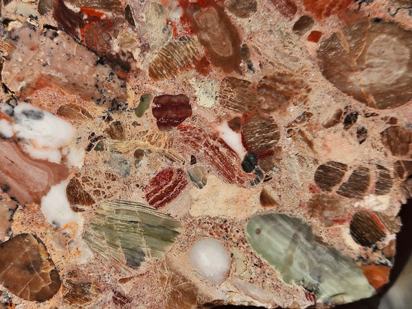 Polished Marillana Conglomerate  MC117