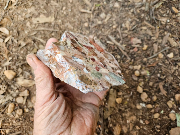 Polished Marillana Conglomerate  MC117