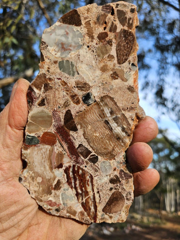 Polished Marillana Conglomerate slab MC118