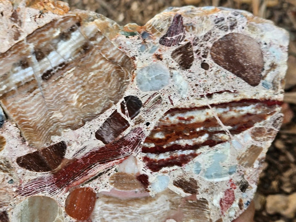 Polished Marillana Conglomerate slab MC118