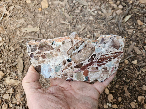 Polished Marillana Conglomerate slab MC118