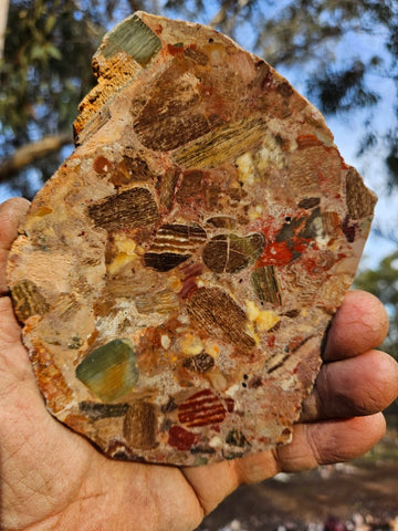 Polished Marillana Conglomerate slab MC119